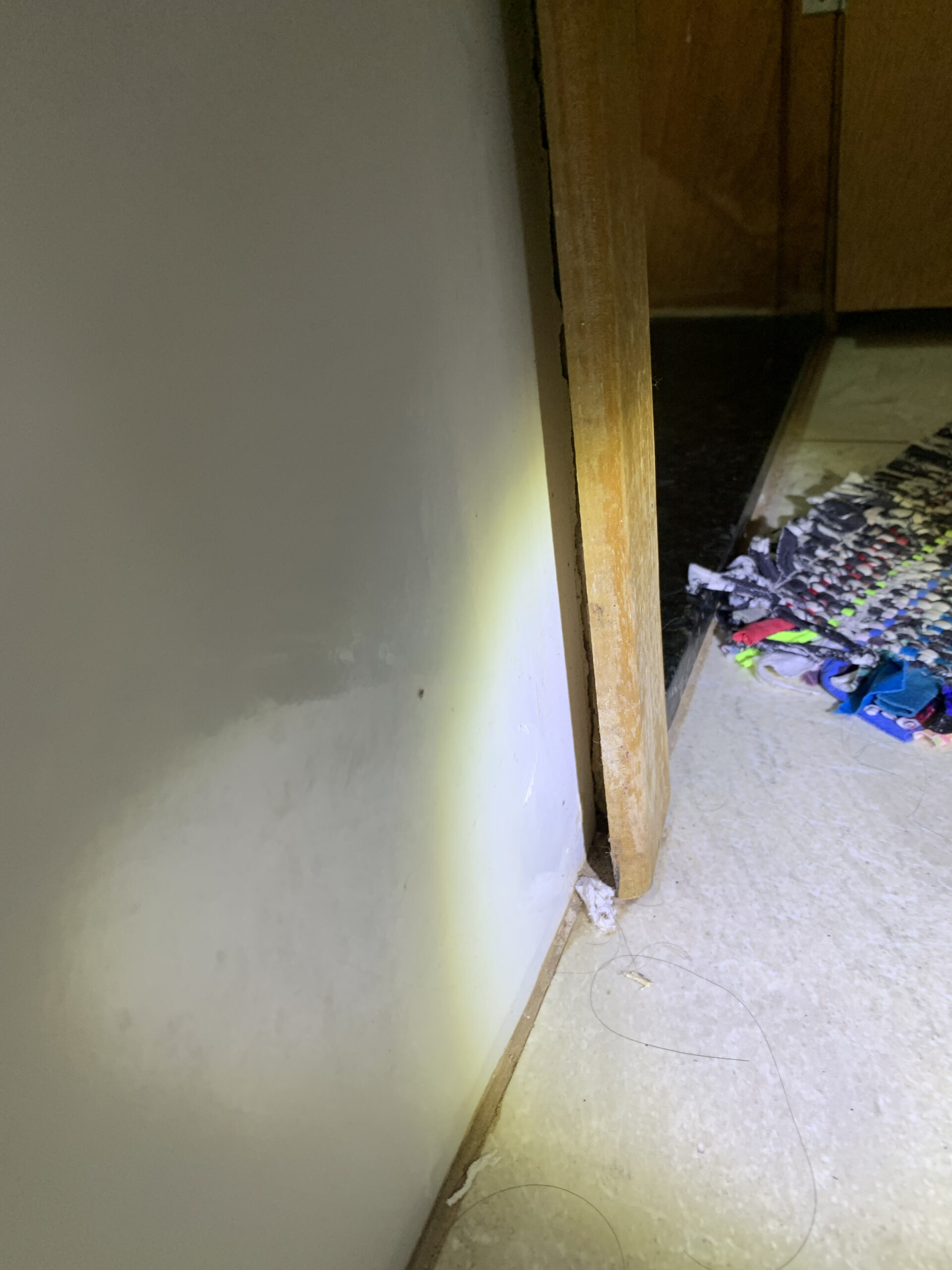 20240125_113450804_iOS